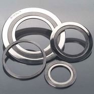 Alloy Series Gaskets Supplier in India