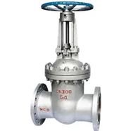 Alloy Series Valves Supplier in India