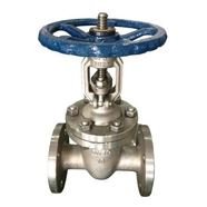 Carbon Steel Valves Supplier in India