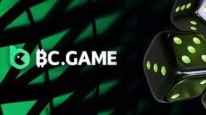 Ultimate Guide on How to Play BC Game